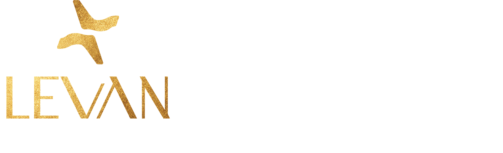 Logo Icon
