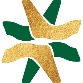 Levan Logo